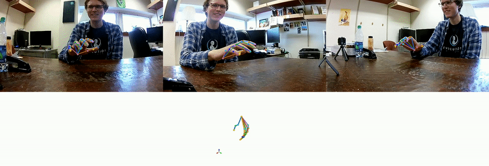 _images/hand-demo.gif
